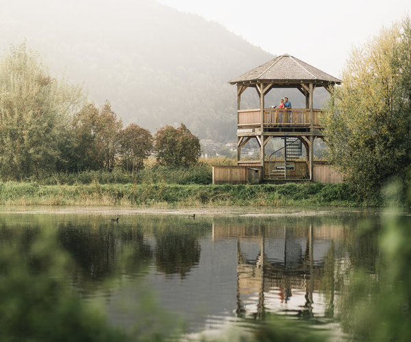 Aussichtsturm vom Bleistätter Moor in Kärnten - Camping in Österreich